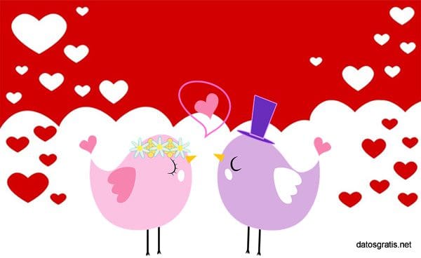 Bonitas frases romànticas para San Valentin para novios