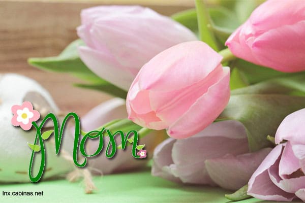 Bellos mensajes por el Día de la Madre para tu amiga.#MensajesParaAmigaPorDiaDeLaMadre,#TextosParaDiaDeLaMadre
