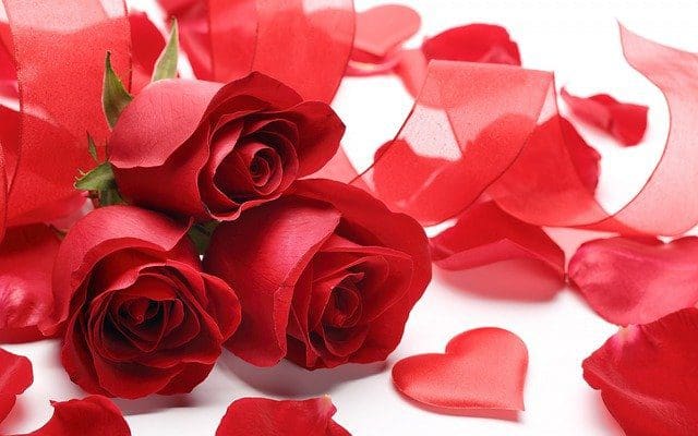 Bonitas frases románticas para San Valentín para novios,Frases románticas de Felíz Día de San Valentín, mi linda Princesa, Felíz San Valentín, vida mía frases románticas.#DíaDelAmor,#DíaDelAmorYlaAmistad,#DíaDeLosEnamorados,#FrasesParaDíaDelAmor,#DíaDeSanValentín