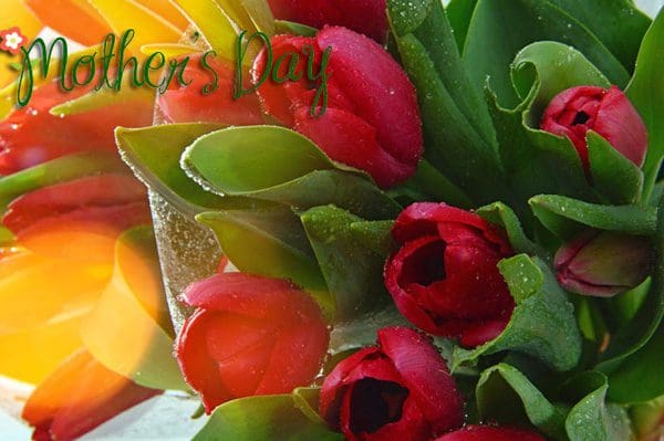 Buscar mensajes de amor para dedicar el Día de la Madre por Whatsapp.#SaludosParaDiaDeLaMadre